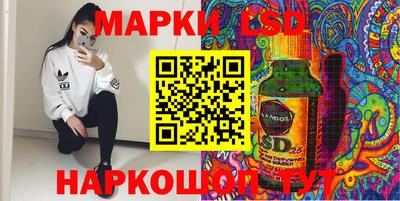 a pvp Бийск