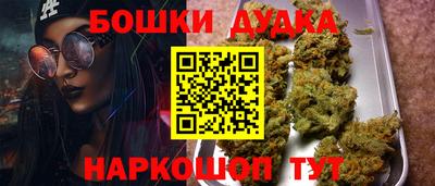 a pvp Бийск